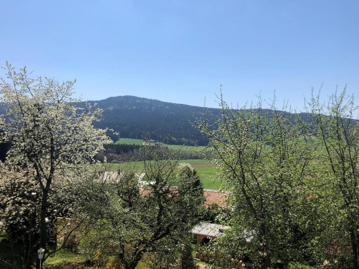 Steinbuehler Hof - Stressfrei Am Lande Kötzting Exterior foto
