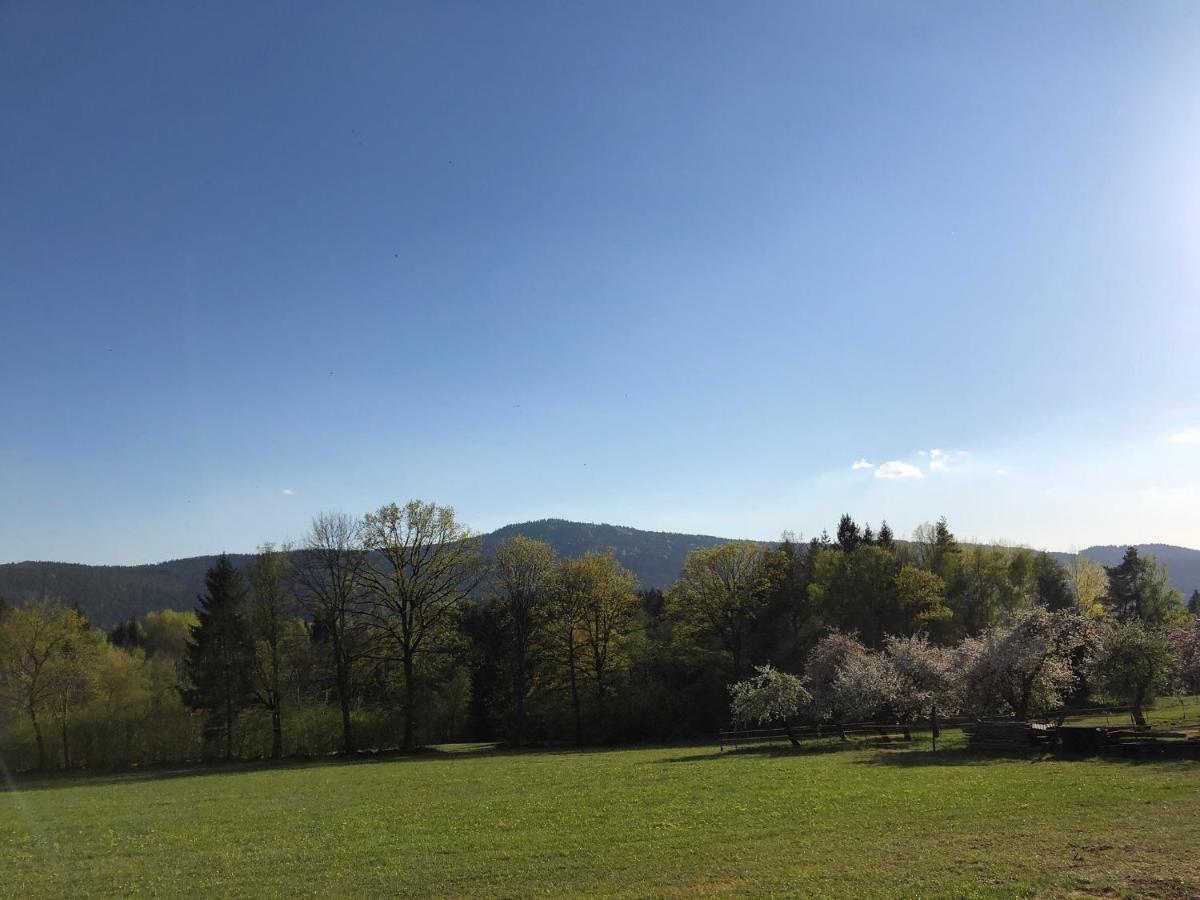 Steinbuehler Hof - Stressfrei Am Lande Kötzting Exterior foto