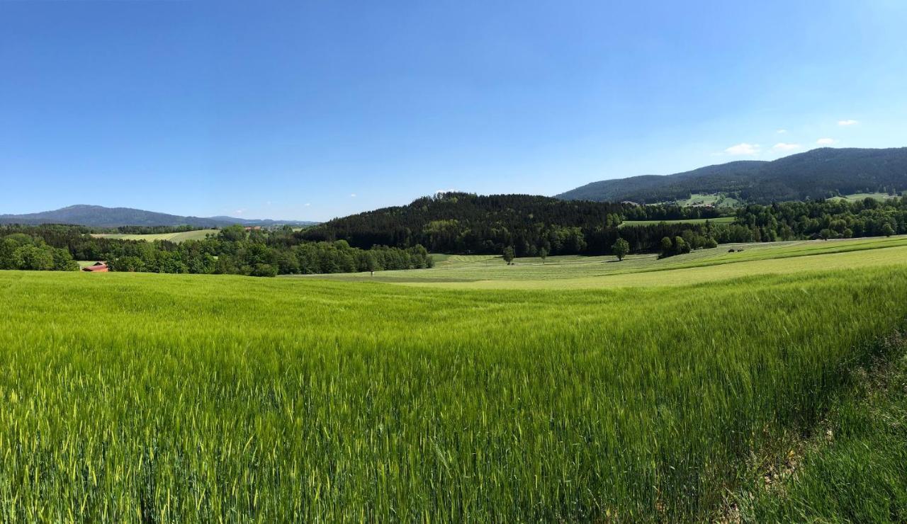Steinbuehler Hof - Stressfrei Am Lande Kötzting Exterior foto